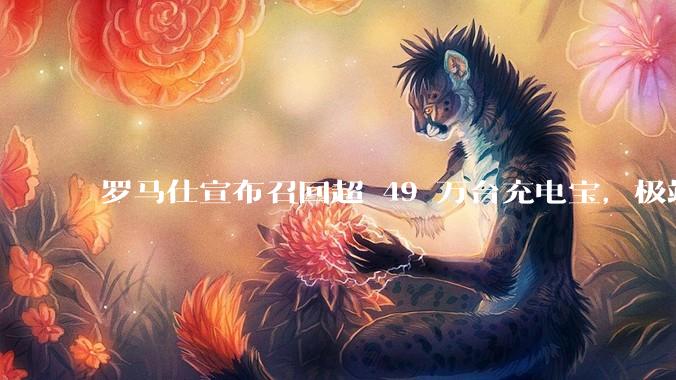 罗马仕宣布召回超 49 万台充电宝，极端场景下可能有燃烧风险，有多危险？为何有安全隐患的产品能够上市？