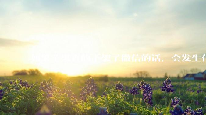 如果苹果真的下架了微信的话，会发生什么？